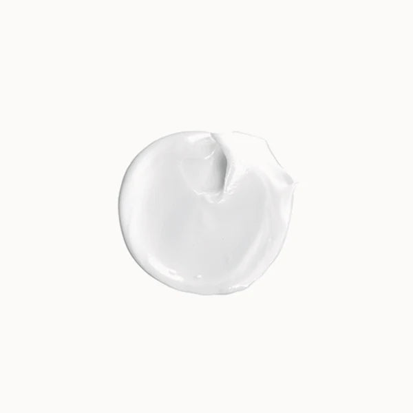 Vagheggi rehydra hydra-nourishing cream - refill 50ml